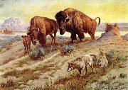 unknow artist Buffalo Family Germany oil painting artist